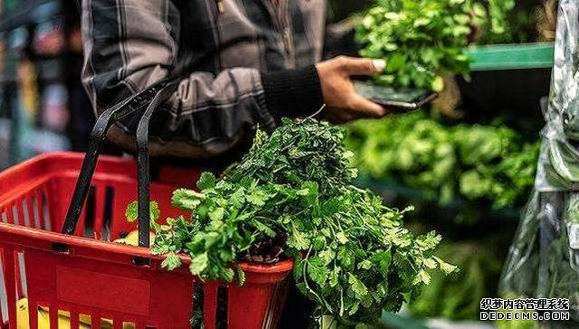 谁才是最适合新手的买菜APP?这次我又找了四个平台来对比
