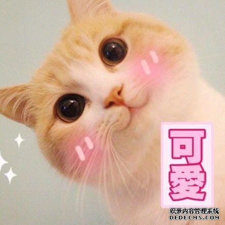 宅在家里也能做的勾魂小吃,每一样都让你口水直流