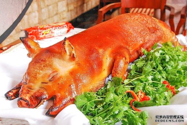最任性的小店,20年仅卖1种菜,每天赚2000,食客:天天吃也不腻