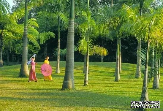 云南旅游,就这样玩,省钱又实用