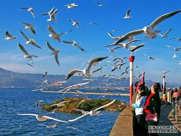 云南旅游,就这样玩,省钱又实用
