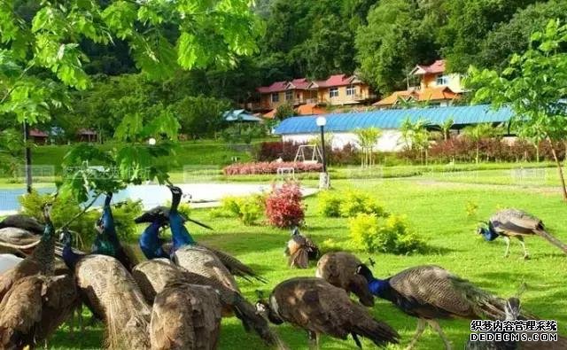 云南旅游,就这样玩,省钱又实用
