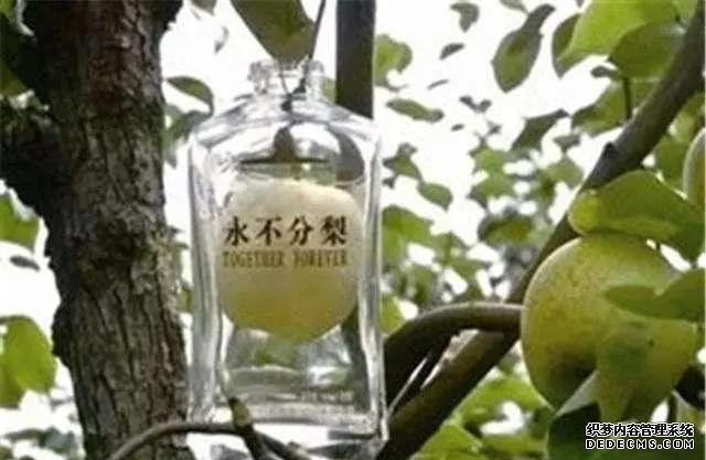 五粮液的“永不分梨”酒,那颗梨是怎么放进去的?看完后,真服了