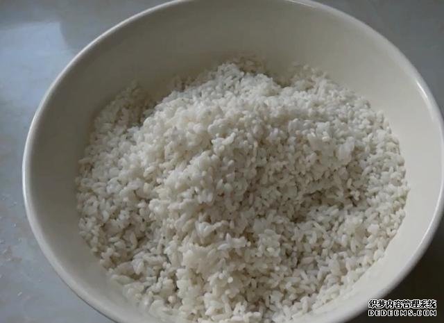 一碗大米,半斤牛奶,教你做最好吃的大米糕,松软香甜健康无添加