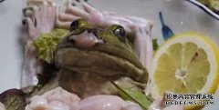 日本：我们吃生青蛙，美