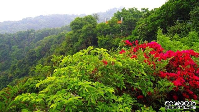 广东自驾游必爬的7座山,你怎么能够错过?