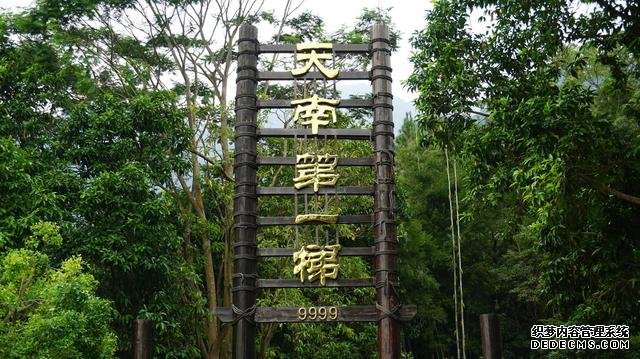 广东自驾游必爬的7座山,你怎么能够错过?