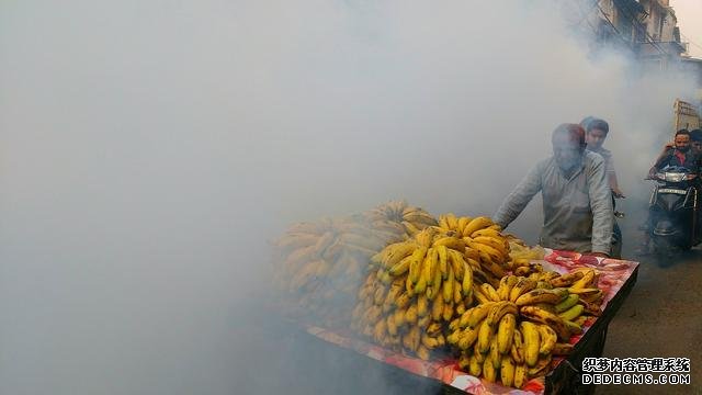 听说雪碧香蕉一起吃会吐？两老外实验完，就找地方吐了