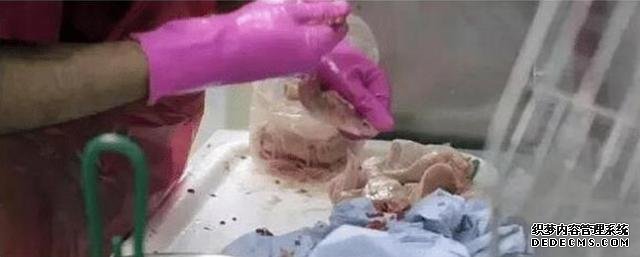 直击肯德基美味背后的故事,一条条食品生产线,显得既壮观又悲惨