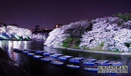 2020东京「夜樱」点灯景点巡礼，个个美不胜收，如临仙境