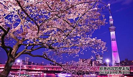 2020东京「夜樱」点灯景点巡礼，个个美不胜收，如临仙境