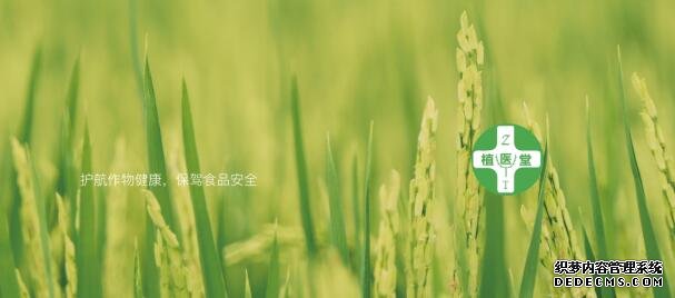 传统农业迈入AI时代 植物医院人工智能识别病虫
