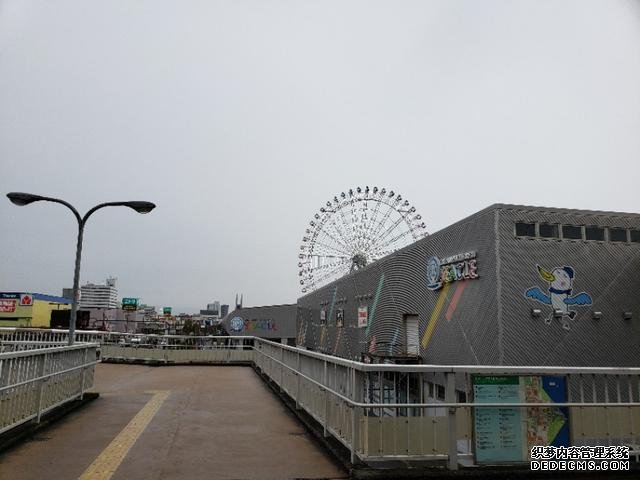 如果你今生只想去一次日本,千万别跟我一样,报这样的旅行团 完
