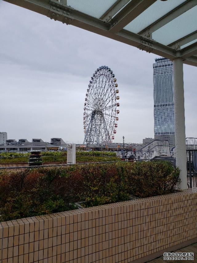 如果你今生只想去一次日本,千万别跟我一样,报这样的旅行团 完