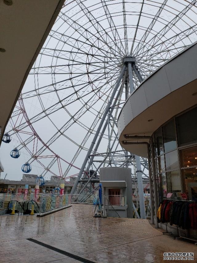如果你今生只想去一次日本,千万别跟我一样,报这样的旅行团 完