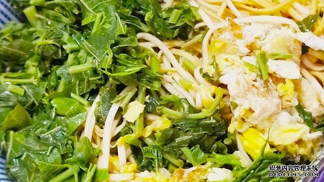 春天要多吃这类野菜,不仅美味解馋超好吃,而且还可以健胃理气