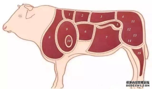 牛肉各部分分解图及做法，（家庭买牛肉小知识）