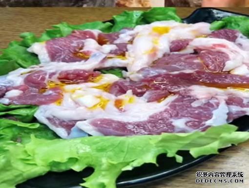 胖大姐开“特色”烤肉店，日入超万元，客人：品的不是肉，是炉子