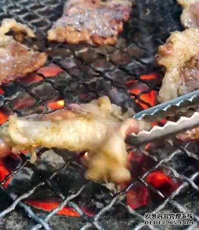 胖大姐开“特色”烤肉店,日入超万元,客人:品的不是肉,是炉子