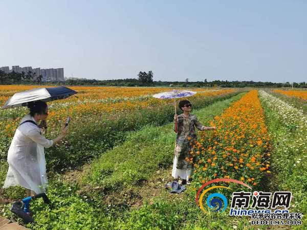 不负春光！赏花踏青品美食 琼海市民游客周末出