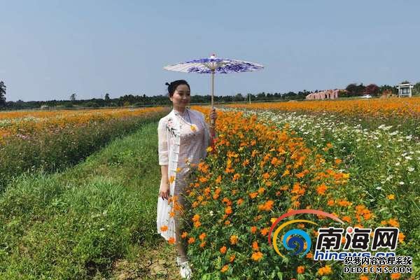 不负春光！赏花踏青品美食 琼海市民游客周末出