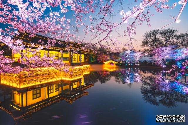 这里的樱花比日本还美,被誉为“世界三大赏樱胜地之一”