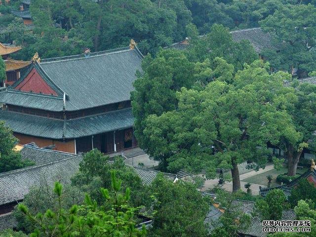 国内“零差评”5A景区,门票免费车票仅15元,小资旅行看过来