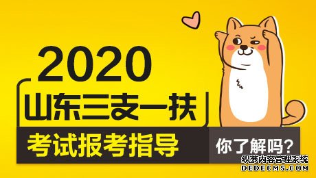 专科学历可以报考2020年山东三支一扶考试吗？