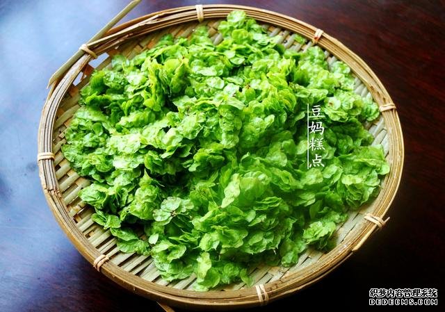 这种野菜长树上，简单一蒸健胃安神！南方人没吃过，北方人年年吃