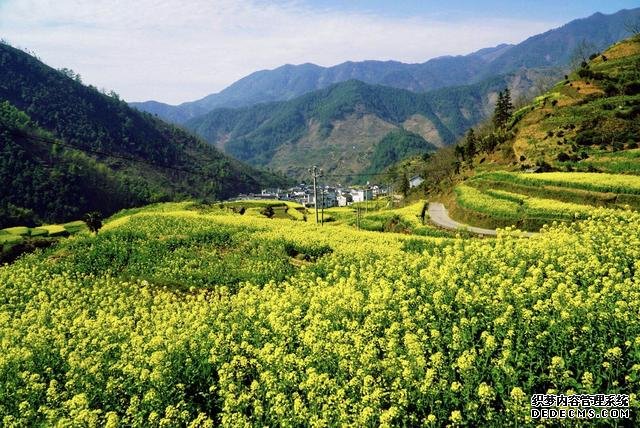 安徽又一个绝美的小众村落,有媲美云南的梯田,却很少有人去过