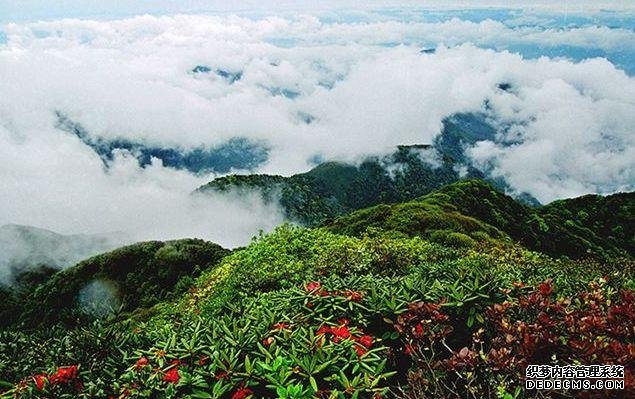 打卡云南小众旅游景点,人少,景美,原生态!#小众旅游景点