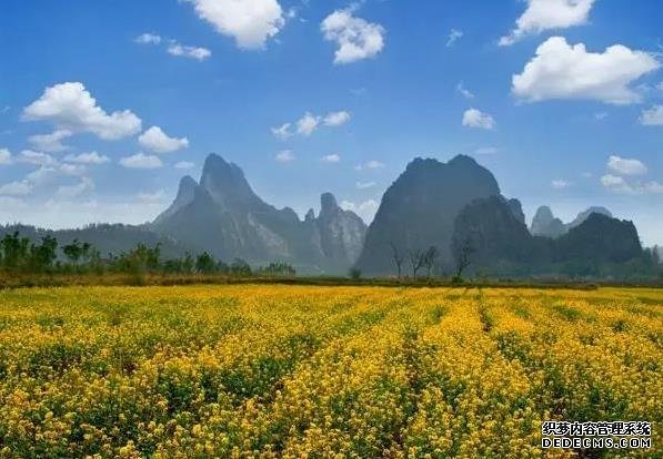 广东这一小众村落,犹如画中秘境,春秋景色各不同
