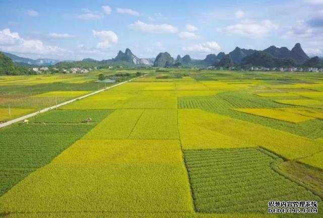 广东这一小众村落,犹如画中秘境,春秋景色各不同
