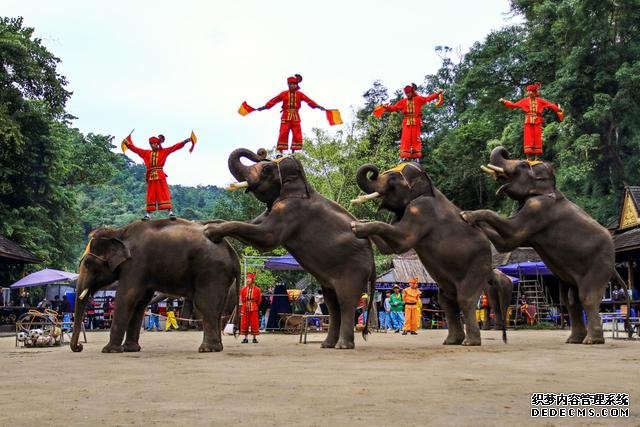 这里风景为何这么美？去了4个地方就让我魂牵梦绕，因为它是云南