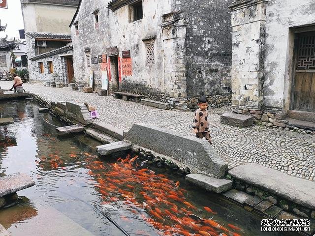 浙江一座宁静的古镇，建筑和丽江古城颇为相似，知道的人不多