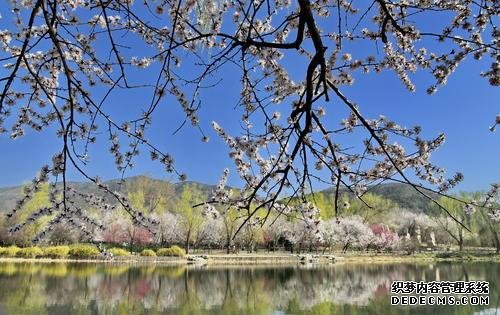 北京踏青去哪里？不要总是去玉渊潭