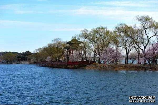北京踏青去哪里?不要总是去玉渊潭
