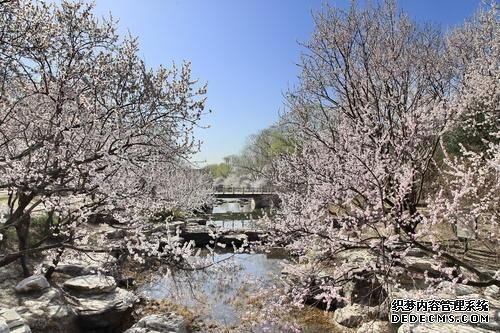 北京踏青去哪里?不要总是去玉渊潭
