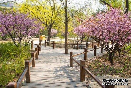 北京踏青去哪里?不要总是去玉渊潭