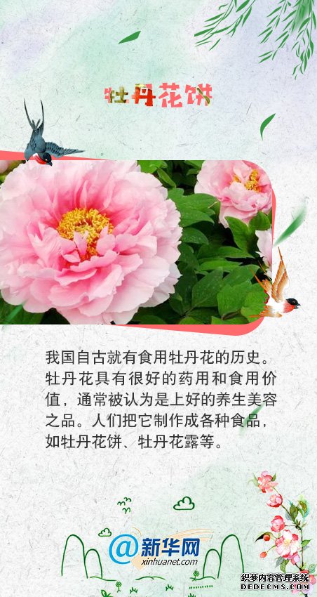 舌尖上的“花”样美食，我要“吃”掉它！