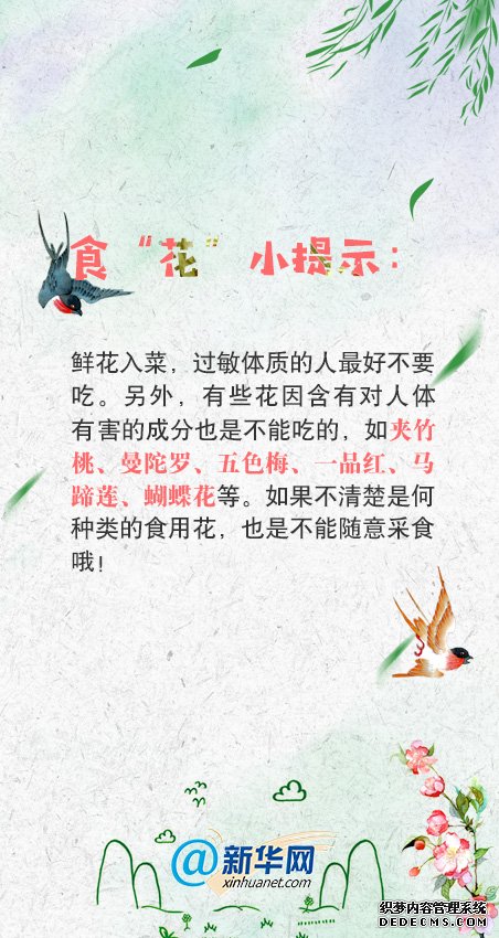 舌尖上的“花”样美食，我要“吃”掉它！