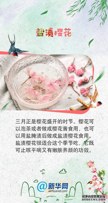 舌尖上的“花”样美食，我要“吃”掉它！