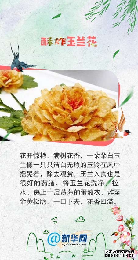 舌尖上的“花”样美食，我要“吃”掉它！