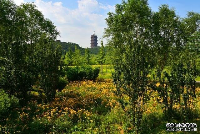 火车也能开进公园?北京免费的赏花之地,横跨了三个重要区县