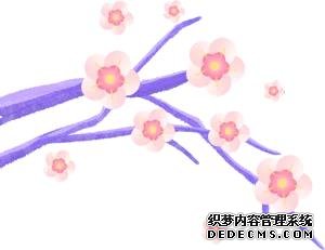 四月紫荆漫山开,大美青川等您来