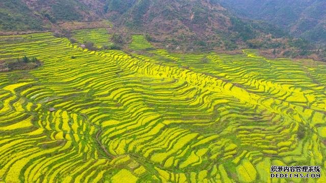 你好,我是梨白桃红、油菜花黄满山野的婺源