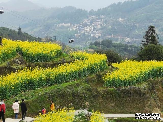 你好,我是梨白桃红、油菜花黄满山野的婺源