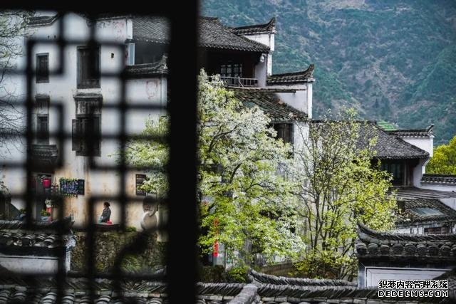 你好,我是梨白桃红、油菜花黄满山野的婺源