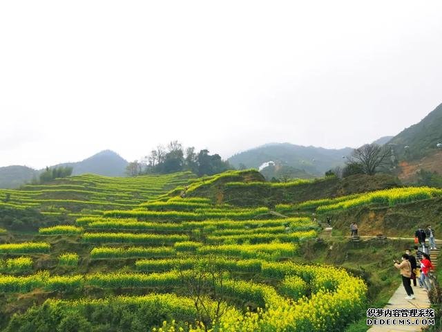 你好,我是梨白桃红、油菜花黄满山野的婺源