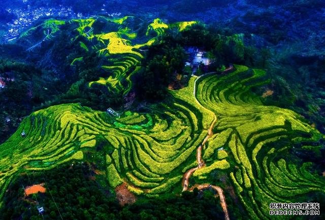 你好,我是梨白桃红、油菜花黄满山野的婺源